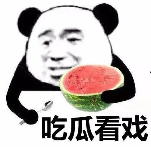 娱乐吃瓜酱背单词,趣味学习两不误