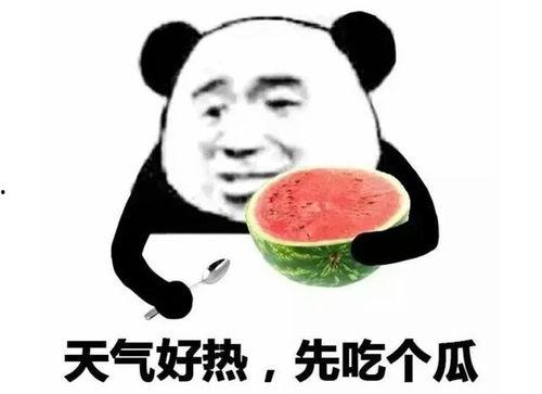 吃瓜娱乐透明表情包,网络热传背后的趣味与思考